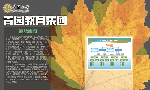1-青园集团-1 1.jpg